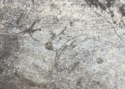 tayview property care roofing & building facebook gallery 26