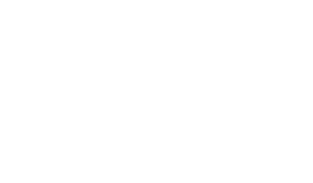 tayview property care roofing & building logo upscaled white